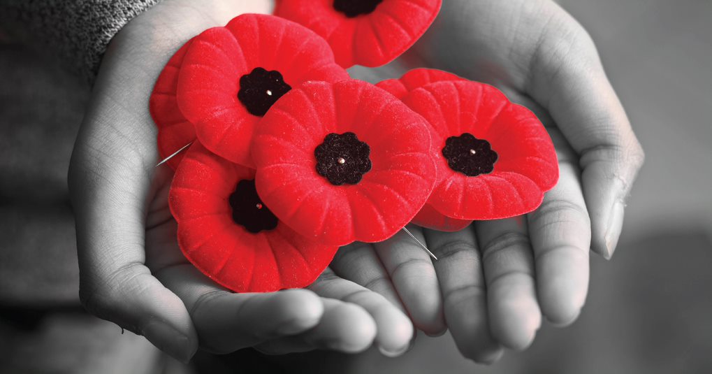 Work with partners and local organisations